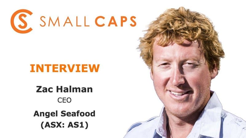 Angel Seafood achieves record oyster sales ahead of peak season